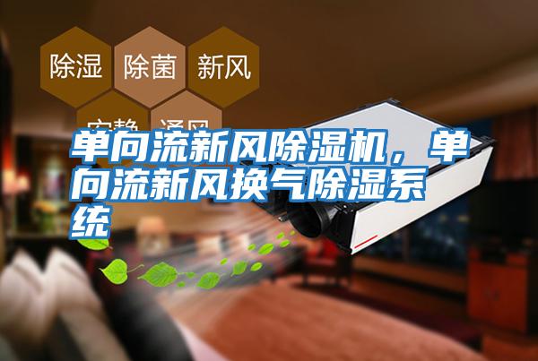 單向流新風除濕機，單向流新風換氣除濕系統(tǒng)