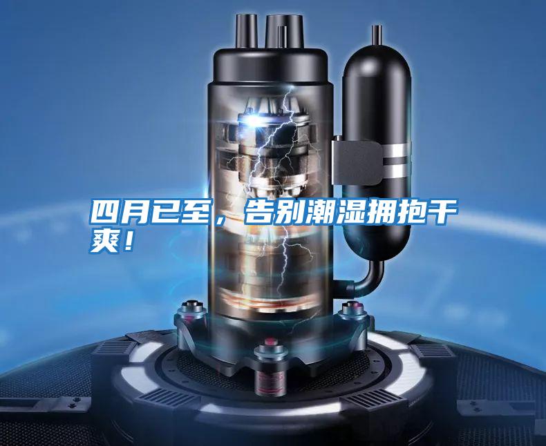 四月已至，告別潮濕擁抱干爽！