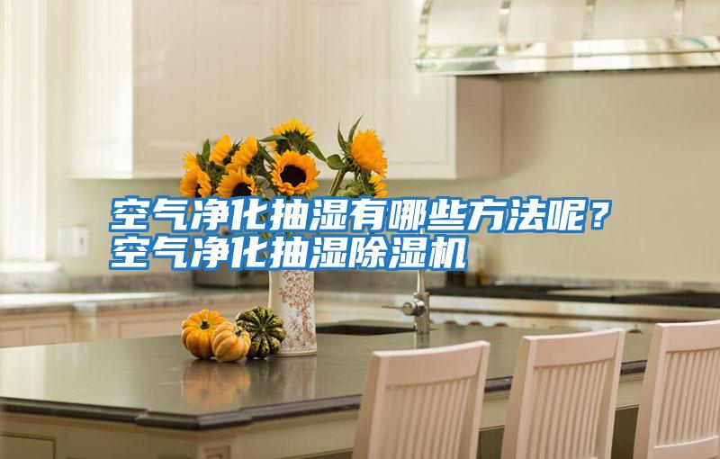 空氣凈化抽濕有哪些方法呢？空氣凈化抽濕除濕機(jī)
