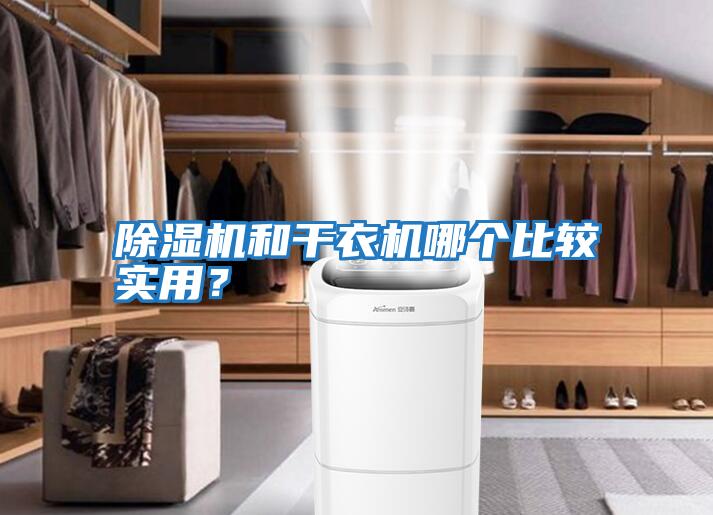 除濕機(jī)和干衣機(jī)哪個比較實用?