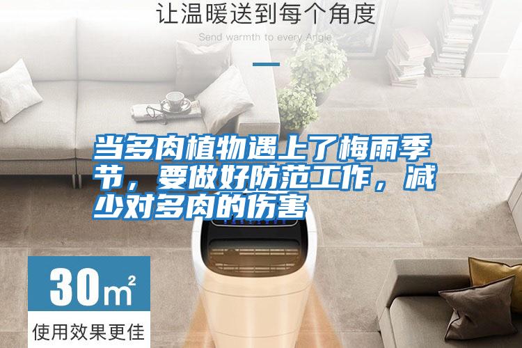 當多肉植物遇上了梅雨季節,要做好防范工作,減少對多肉的傷害