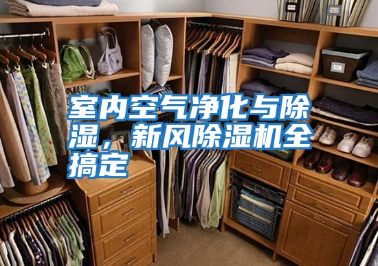 室內(nèi)空氣凈化與除濕,新風(fēng)除濕機全搞定