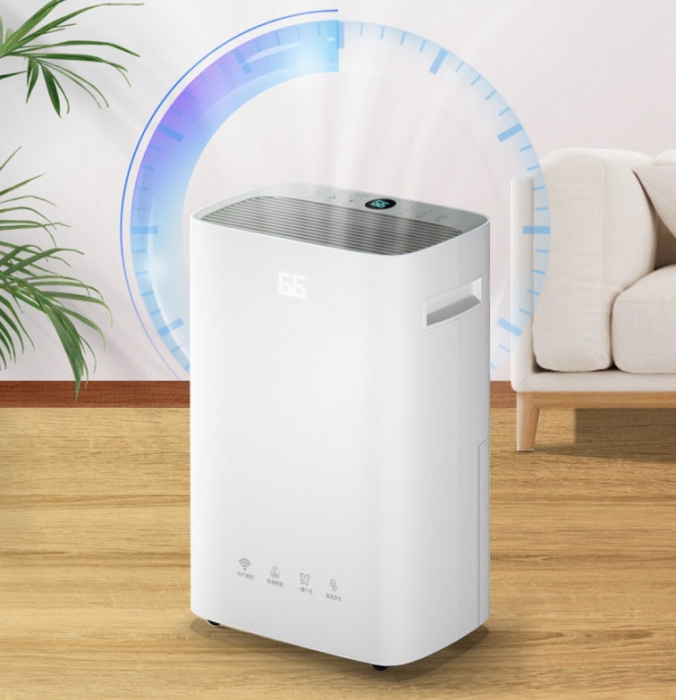 接連暴雨天風濕骨痛好發(fā)時期,除濕是關鍵!