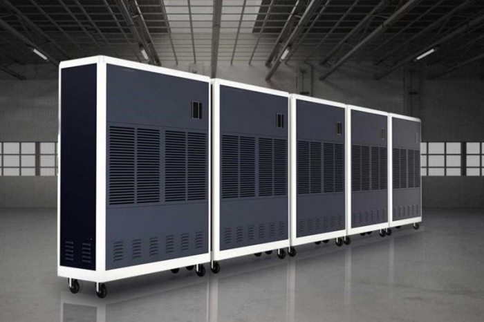 寵物皮膚病怎么辦？如何去濕？