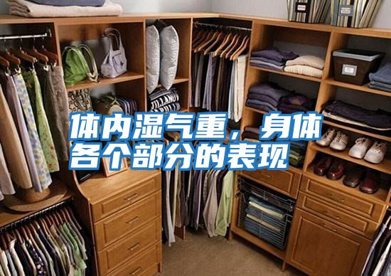 體內濕氣重，身體各個部分的表現