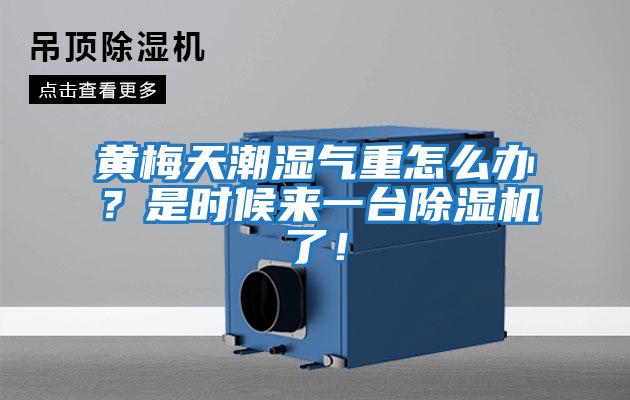 黃梅天潮濕氣重怎么辦?是時候來一臺除濕機了!