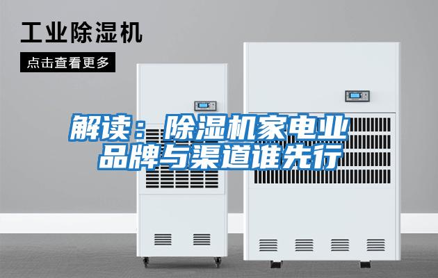 解讀:除濕機(jī)家電業(yè) 品牌與渠道誰先行