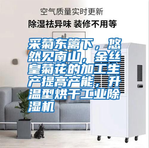 采菊東籬下,悠然見南山,金絲皇菊花的加工生產提高產能,升溫型烘干工業除濕機
