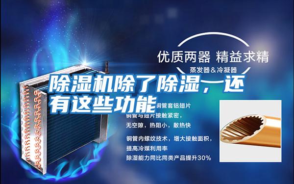 除濕機除了除濕，還有這些功能