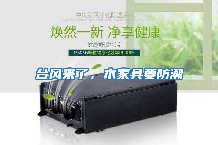臺(tái)風(fēng)來了,木家具要防潮