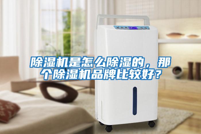 除濕機是怎么除濕的，那個除濕機品牌比較好？