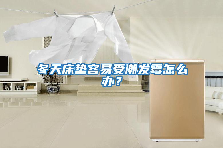 冬天床墊容易受潮發霉怎么辦？