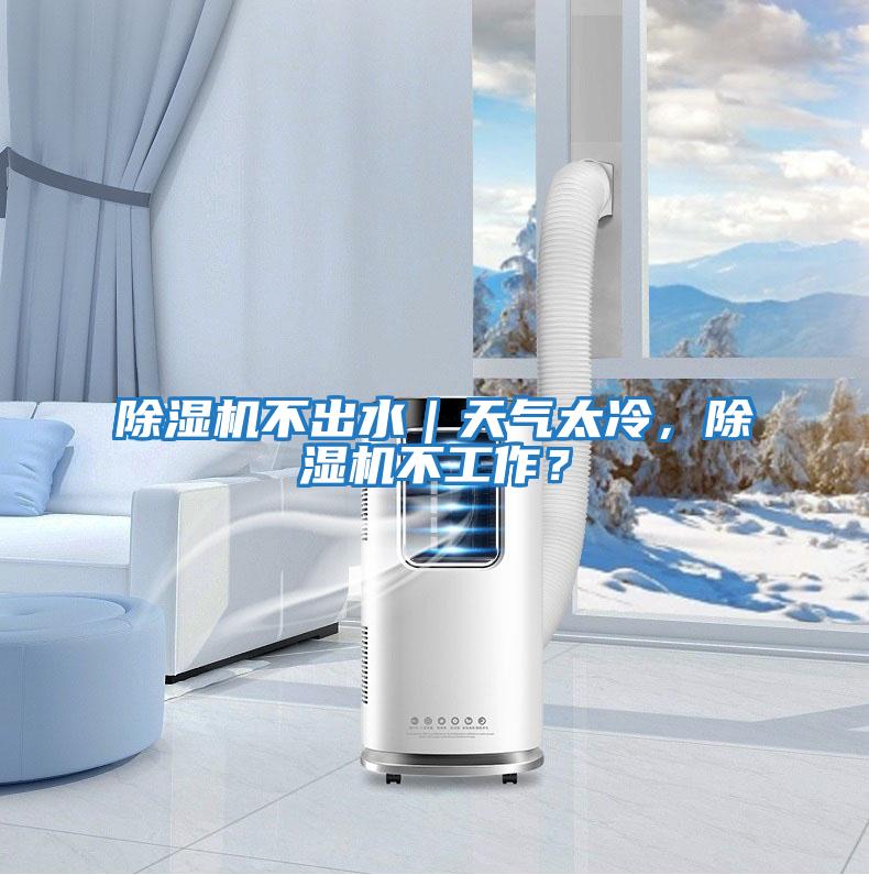 除濕機不出水|天氣太冷,除濕機不工作?