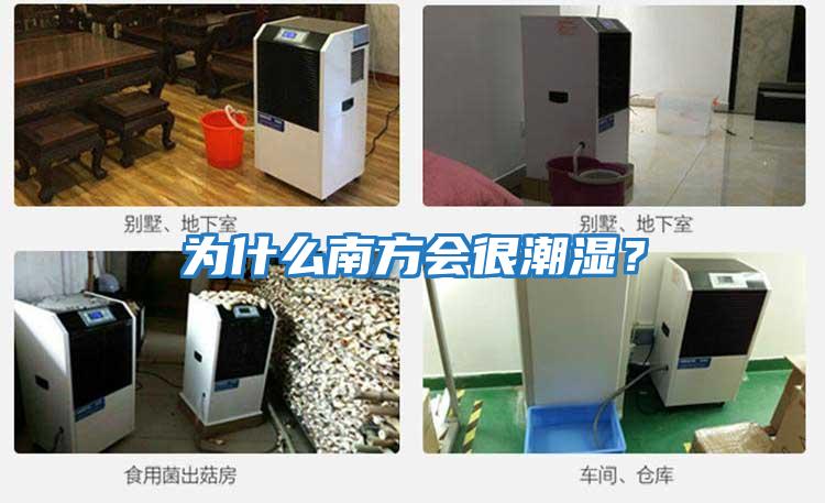 為什么南方會很潮濕？