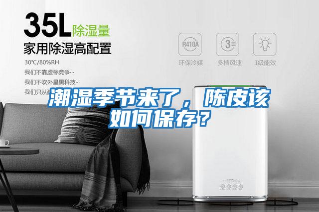 潮濕季節來了，陳皮該如何保存？