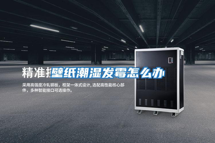 壁紙潮濕發霉怎么辦