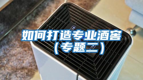 如何打造專(zhuān)業(yè)酒窖(專(zhuān)題二)