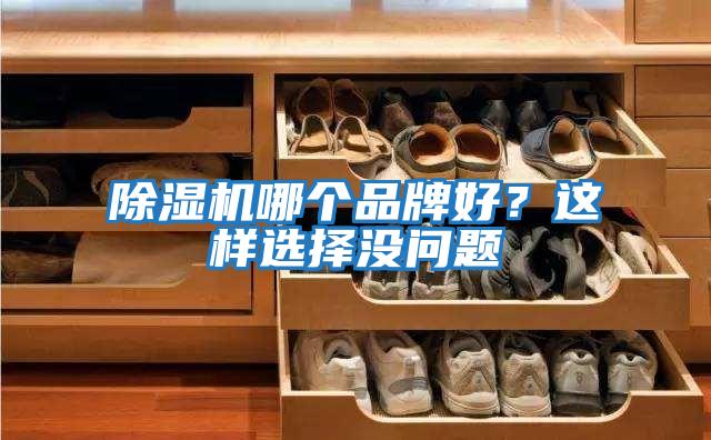 除濕機哪個品牌好？這樣選擇沒問題