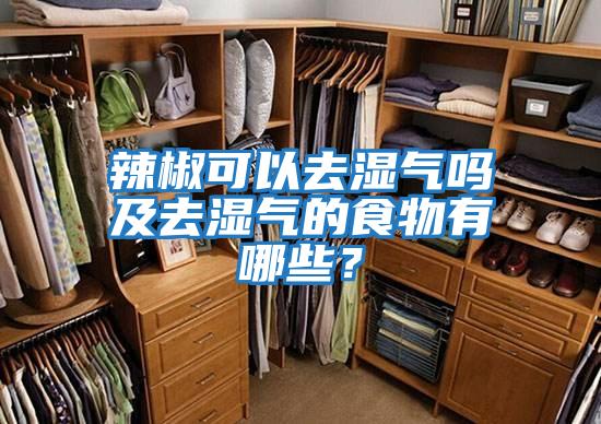 辣椒可以去濕氣嗎及去濕氣的食物有哪些?