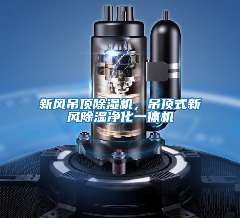 新風(fēng)吊頂除濕機，吊頂式新風(fēng)除濕凈化一體機