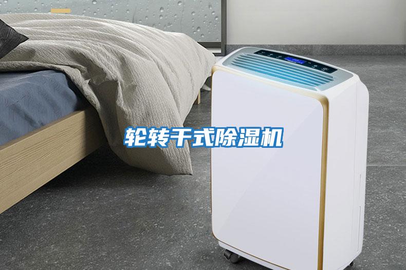 輪轉(zhuǎn)干式除濕機