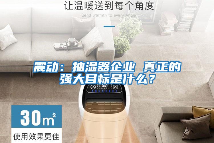 震動：抽濕器企業 真正的強大目標是什么？
