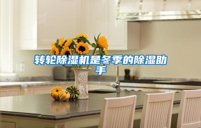 轉輪除濕機是冬季的除濕助手