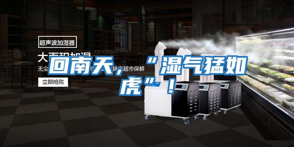 回南天，“濕氣猛如虎”！