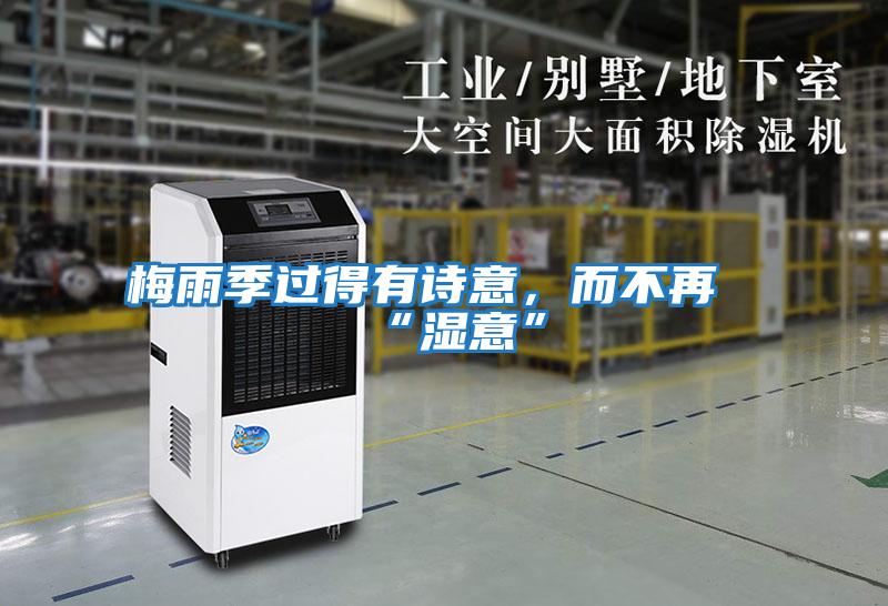 梅雨季過得有詩意，而不再“濕意”