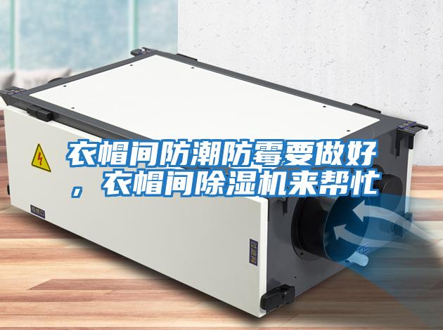 衣帽間防潮防霉要做好,衣帽間除濕機來幫忙