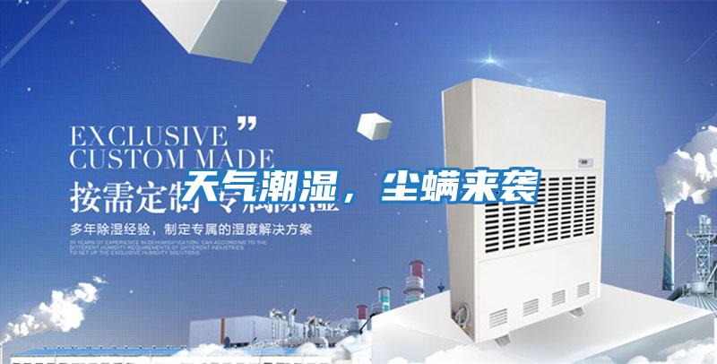 天氣潮濕,塵螨來襲