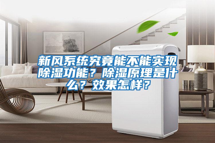 新風系統究竟能不能實現除濕功能？除濕原理是什么？效果怎樣？