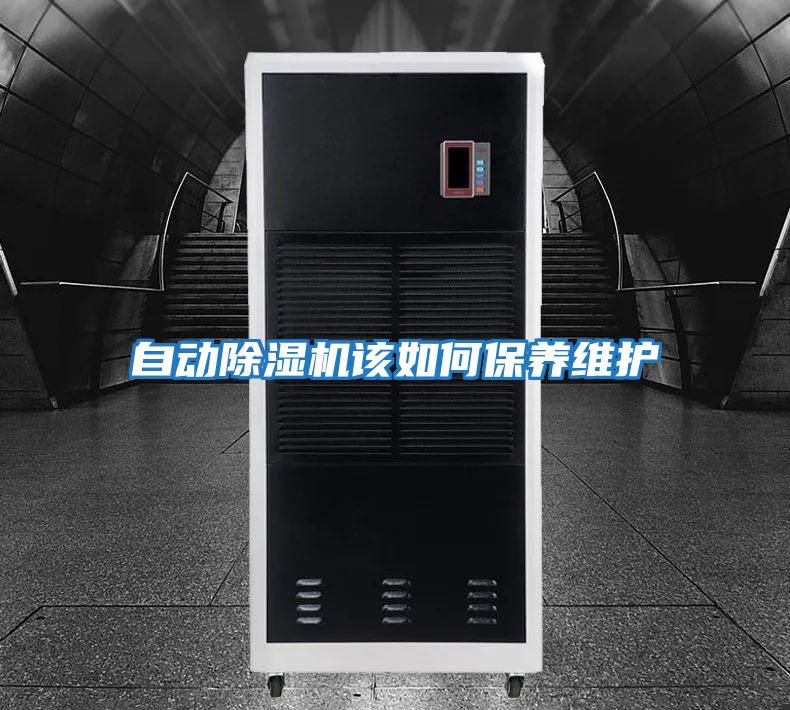 自動除濕機(jī)該如何保養(yǎng)維護(hù)
