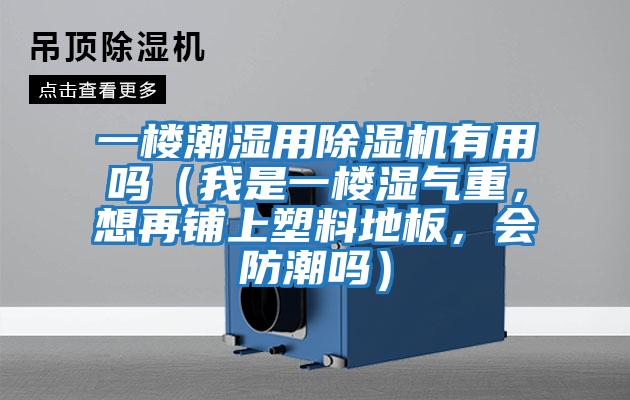 一樓潮濕用除濕機有用嗎(我是一樓濕氣重,想再鋪上塑料地板,會防潮嗎)