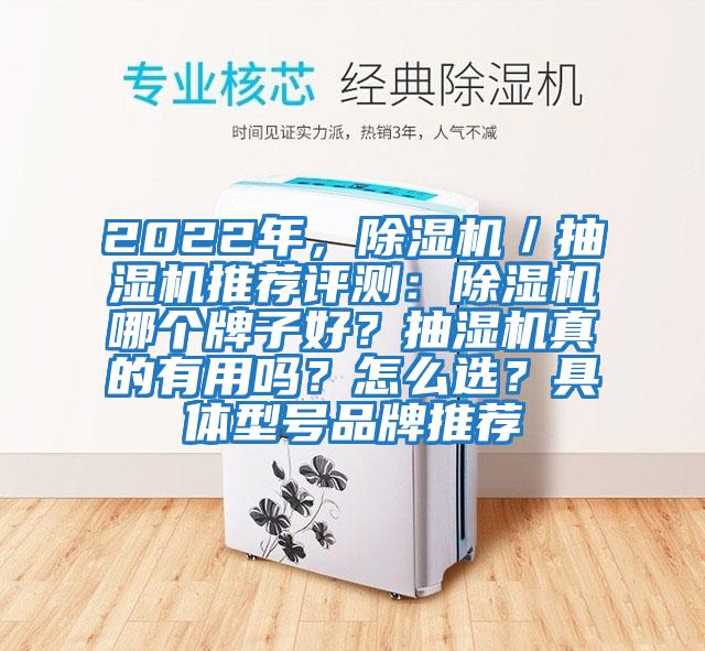 2022年，除濕機／抽濕機推薦評測：除濕機哪個牌子好？抽濕機真的有用嗎？怎么選？具體型號品牌推薦