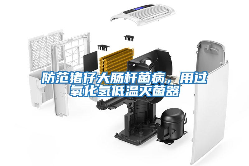 防范豬仔大腸桿菌病，用過(guò)氧化氫低溫滅菌器