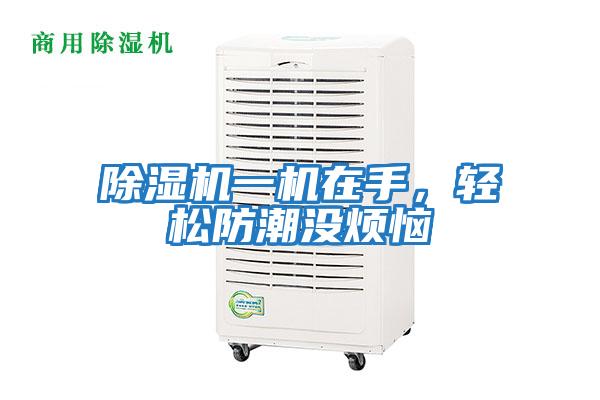 除濕機(jī)一機(jī)在手,輕松防潮沒煩惱