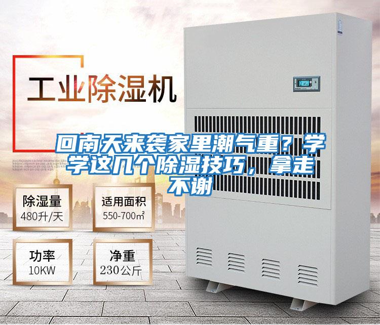 回南天來(lái)襲家里潮氣重？學(xué)學(xué)這幾個(gè)除濕技巧，拿走不謝