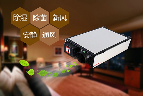 回南天如何防潮濕？選對除濕機高枕無憂