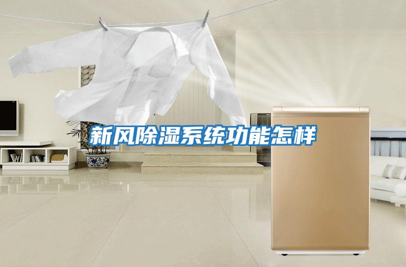 新風(fēng)除濕系統(tǒng)功能怎樣