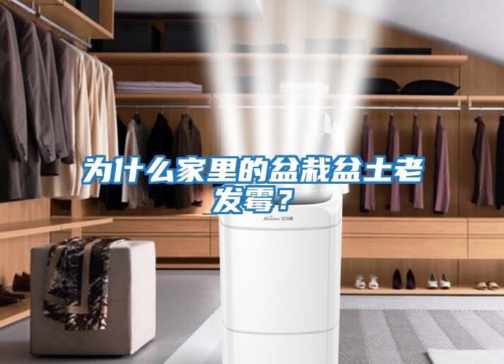 為什么家里的盆栽盆土老發霉?