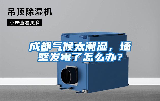 成都氣候太潮濕,墻壁發(fā)霉了怎么辦?