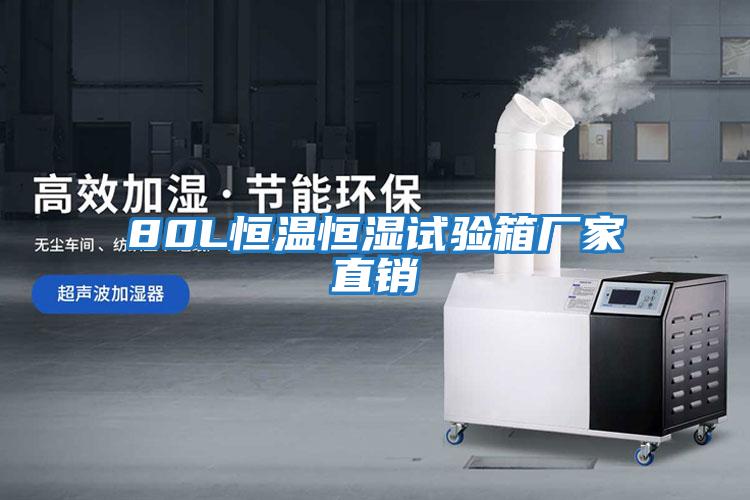 80L恒溫恒濕試驗(yàn)箱廠家直銷(xiāo)
