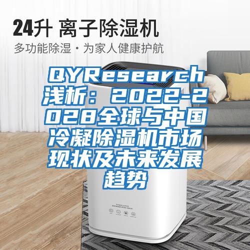 QYResearch淺析：2022-2028全球與中國冷凝除濕機市場現狀及未來發展趨勢