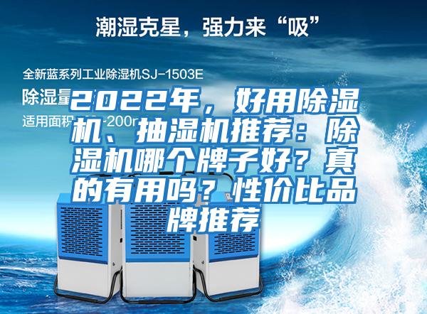 2022年，好用除濕機、抽濕機推薦：除濕機哪個牌子好？真的有用嗎？性價比品牌推薦