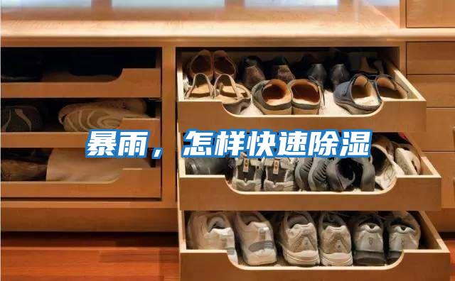 暴雨，怎樣快速除濕