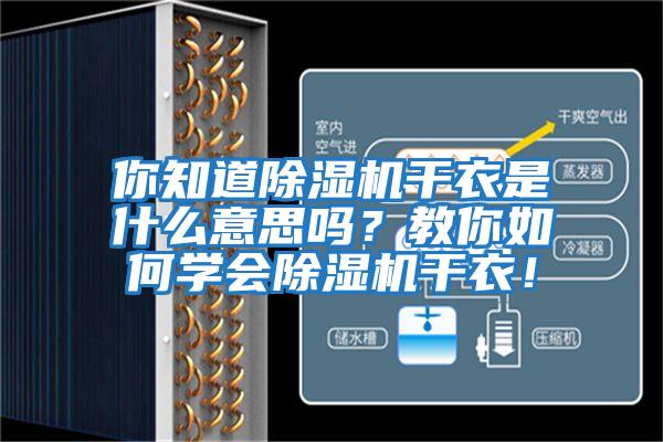 你知道除濕機干衣是什么意思嗎？教你如何學(xué)會除濕機干衣！
