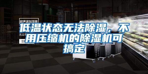 低溫狀態(tài)無法除濕,不用壓縮機的除濕機可搞定