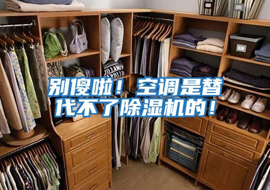 別傻啦！空調(diào)是替代不了除濕機(jī)的！