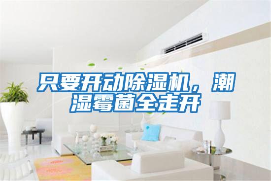 只要開動除濕機,潮濕霉菌全走開